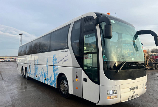 MAN LION COACH